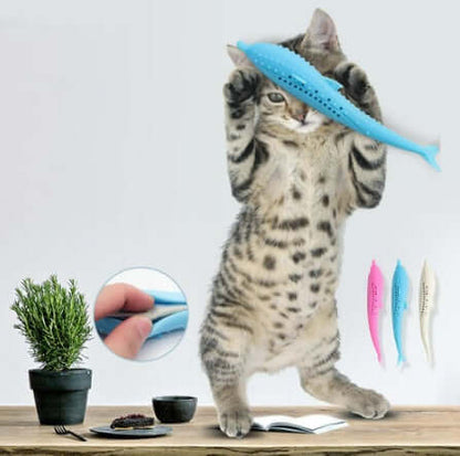 cat-toothbrush-toy-droppzza.jpg