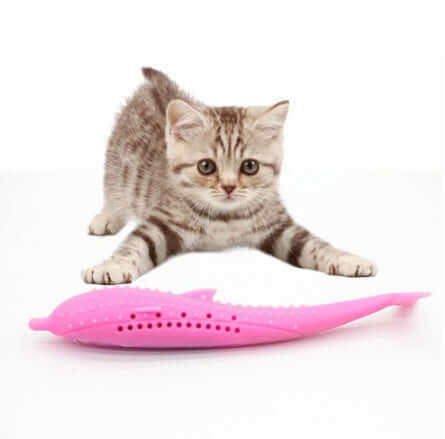 cat-toothbrush-toy-droppzza.jpg