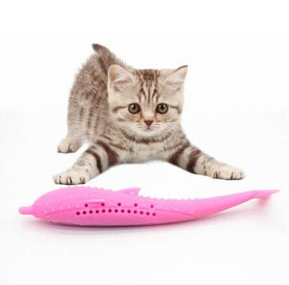 cat-toothbrush-toy-droppzza.jpg
