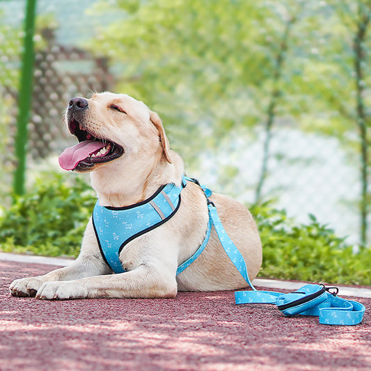 droppzza-pet-dog-leash-harness-with-bow-soft-breathable.jpg